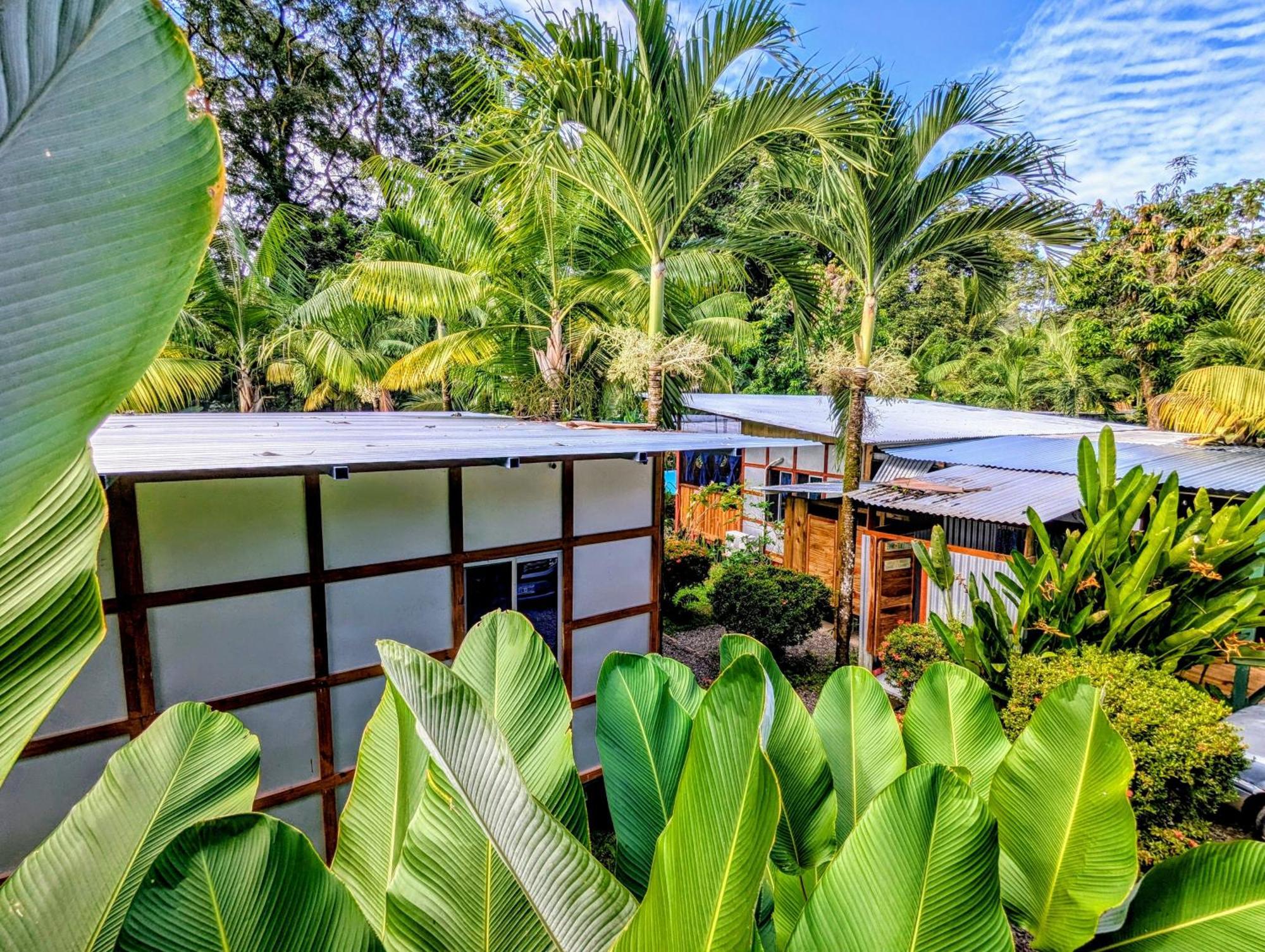 Arboura Eco Cabins Uvita Luaran gambar